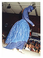 blue.jpg (17601 bytes)
